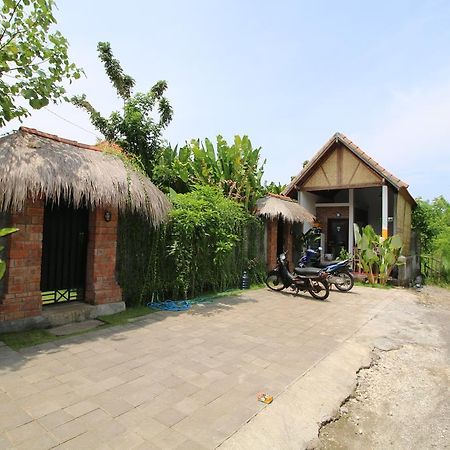 Green Bowl Bali Homestay Kuta Selatan Dış mekan fotoğraf